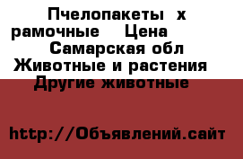 Пчелопакеты 4х рамочные  › Цена ­ 3 800 - Самарская обл. Животные и растения » Другие животные   